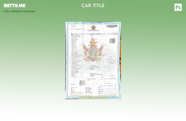 Модерен стил на шаблон за потврда за регистрација на возила во Зимбабве